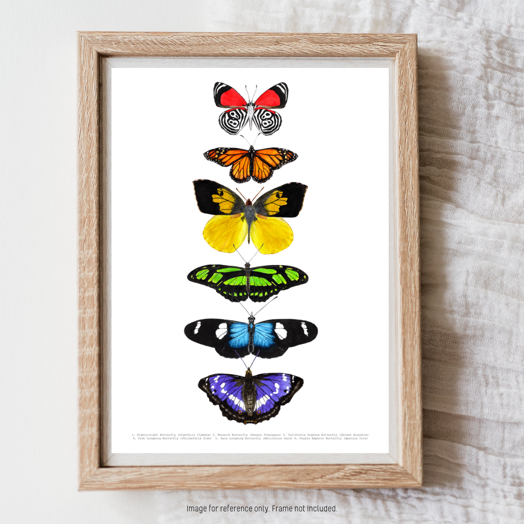 Watercolour Art Print - 'Rainbow Butterfly Collage'