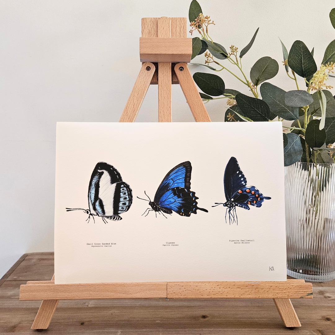 Watercolour Art Print - 'Blue Butterfly Trio'