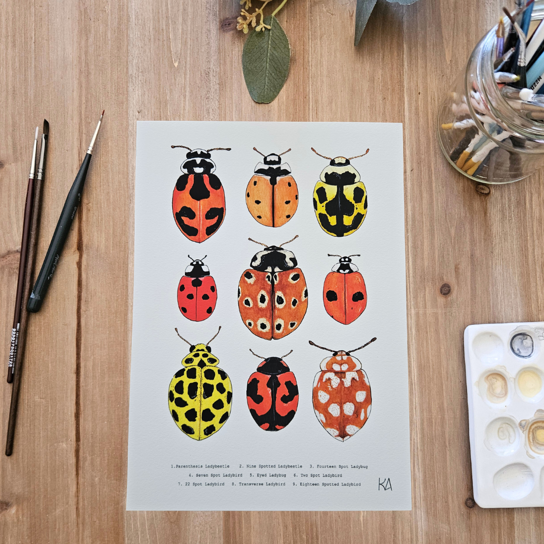Watercolour Art Print - 'Ladybug Collage'
