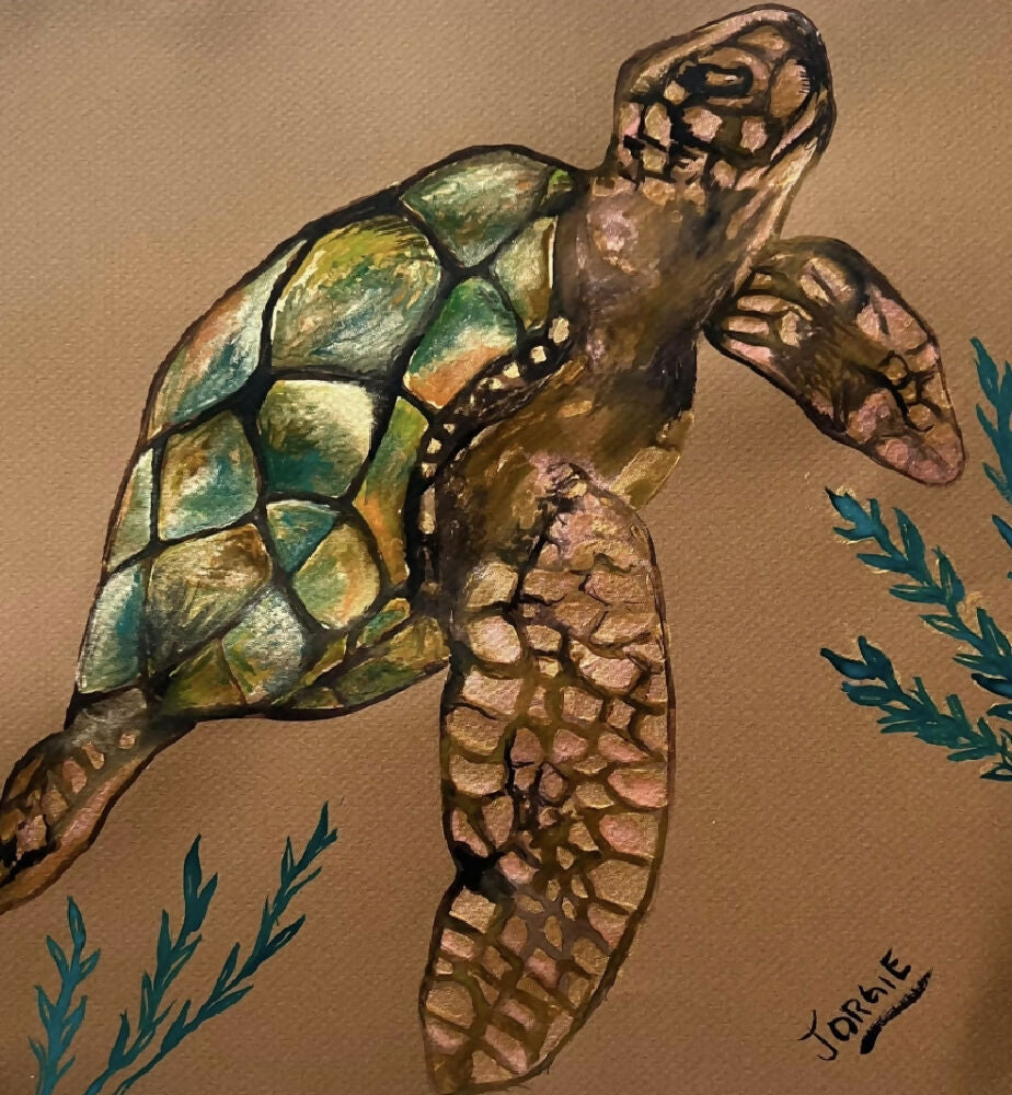 watercolor study of a sea turtle , framed