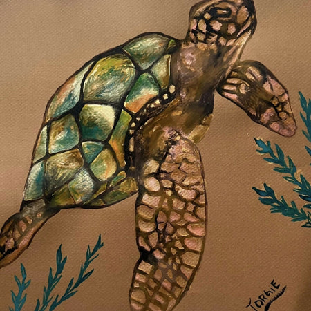 watercolor study of a sea turtle , framed