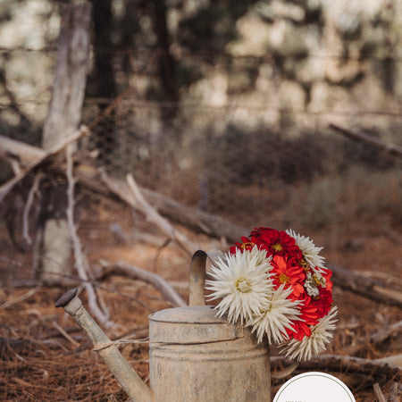 Whimsy in the Watering Can #2