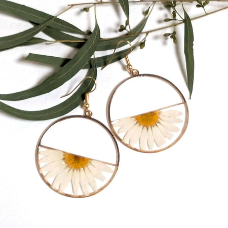 white daisies half circle