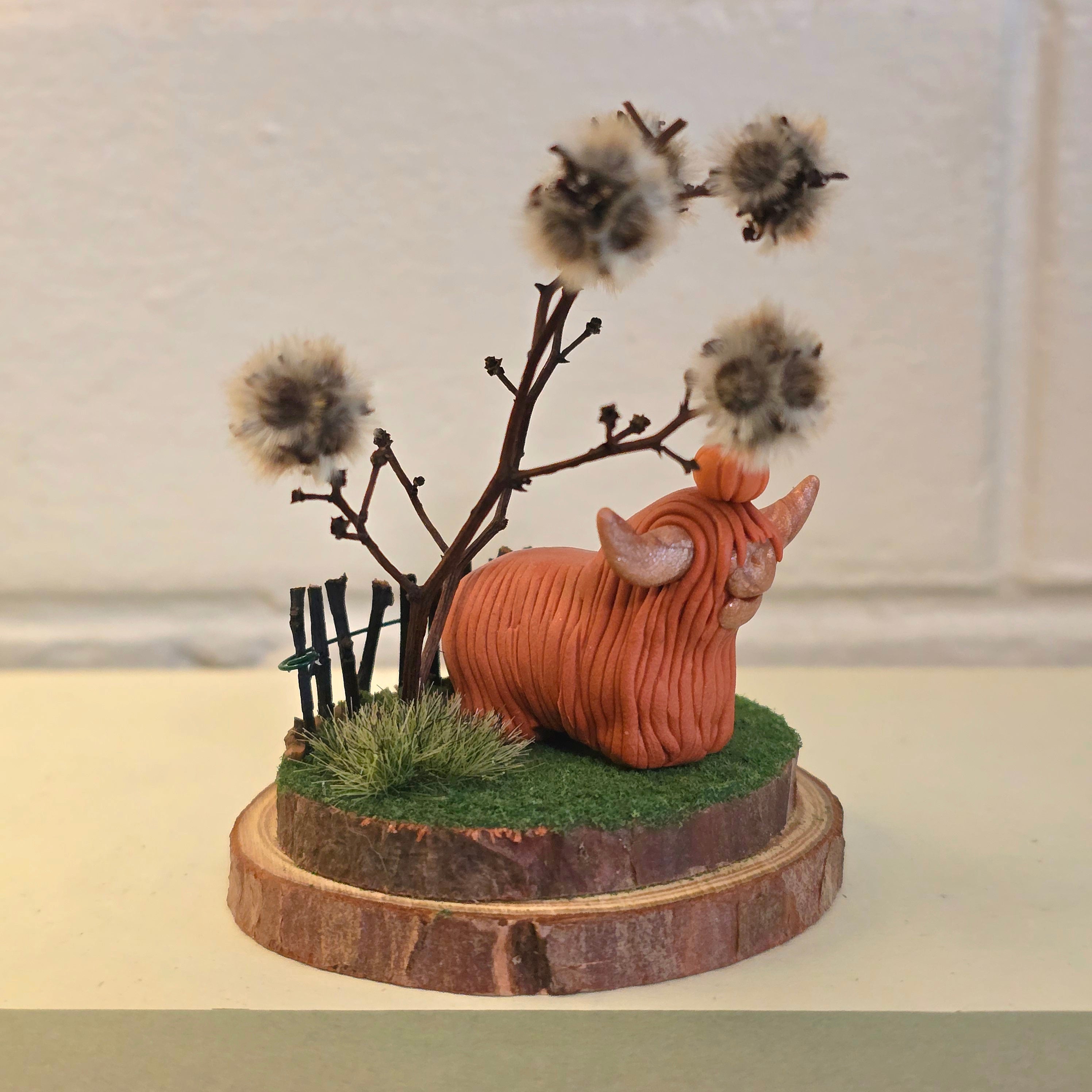 Highland Cow - Bessie