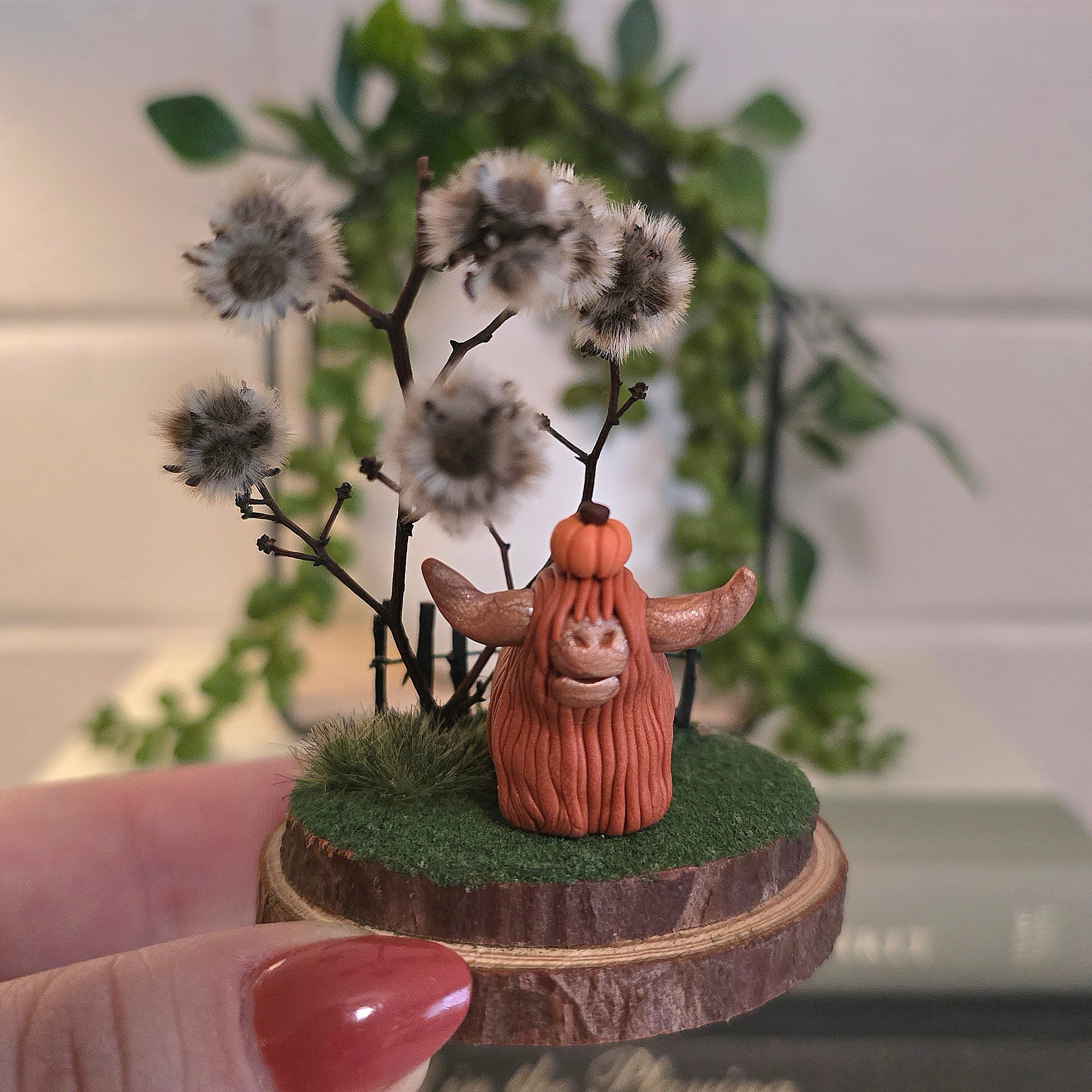 Highland Cow - Bessie