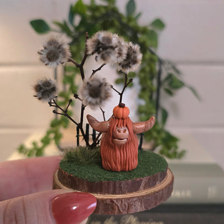 Highland Cow - Bessie