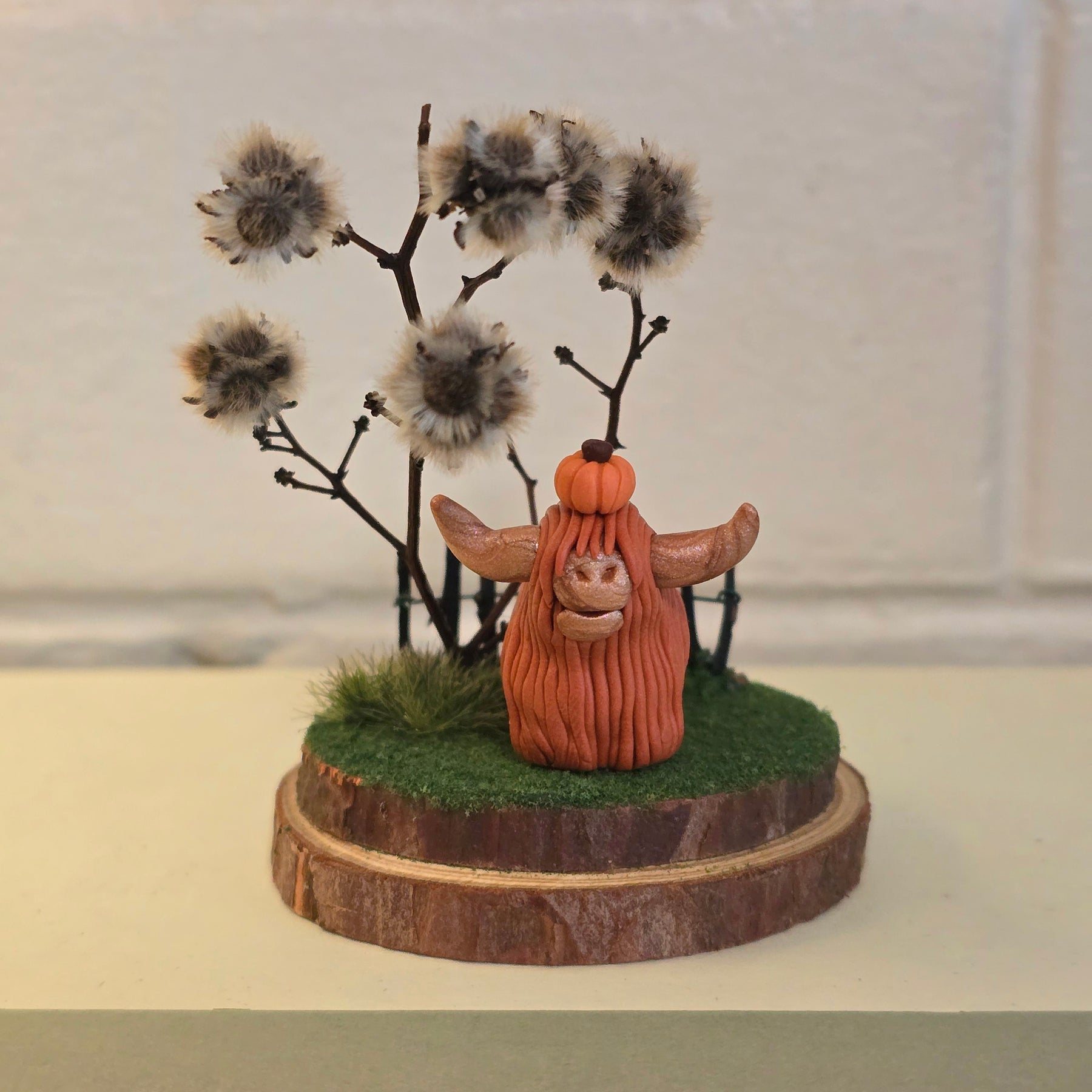 Highland Cow - Bessie