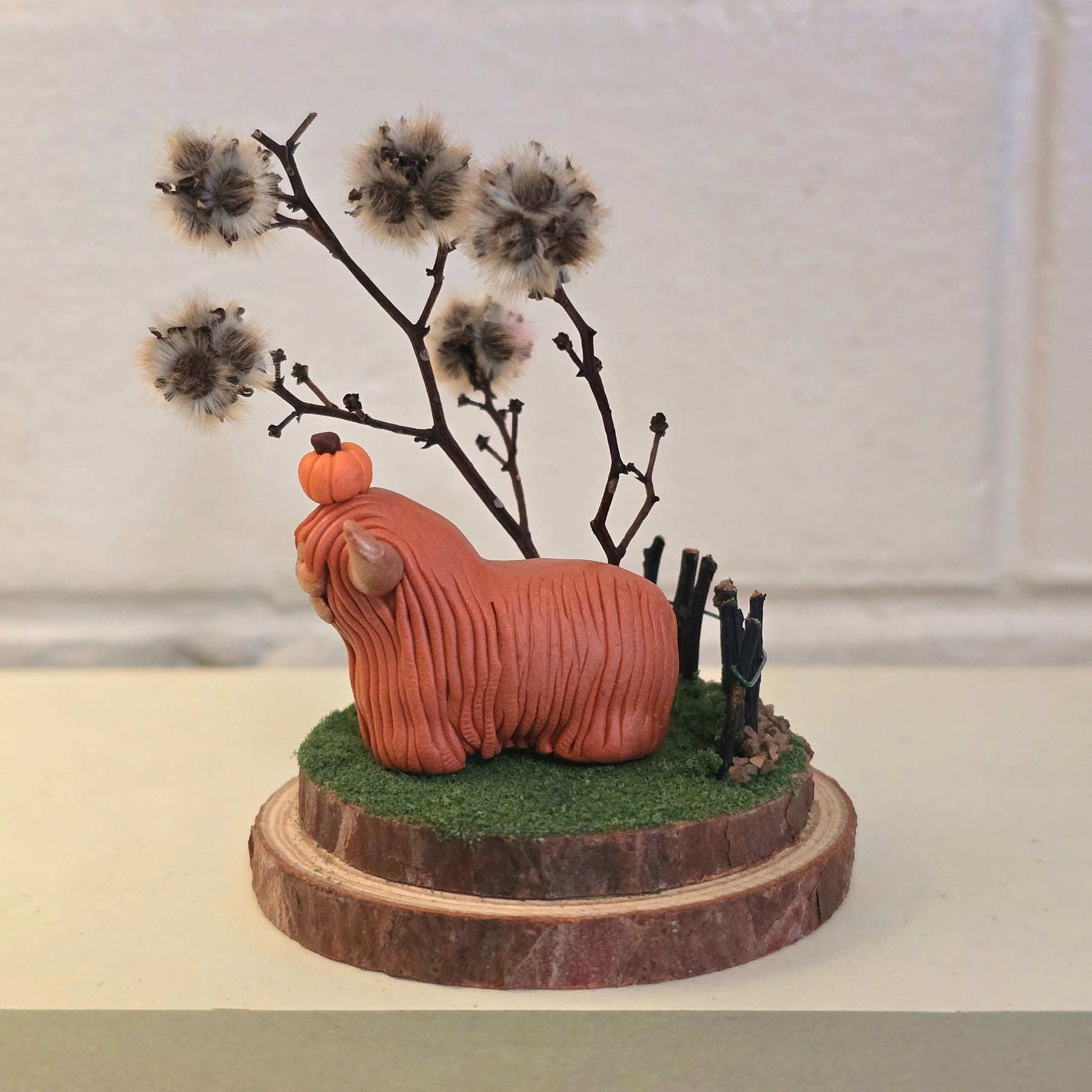 Highland Cow - Bessie