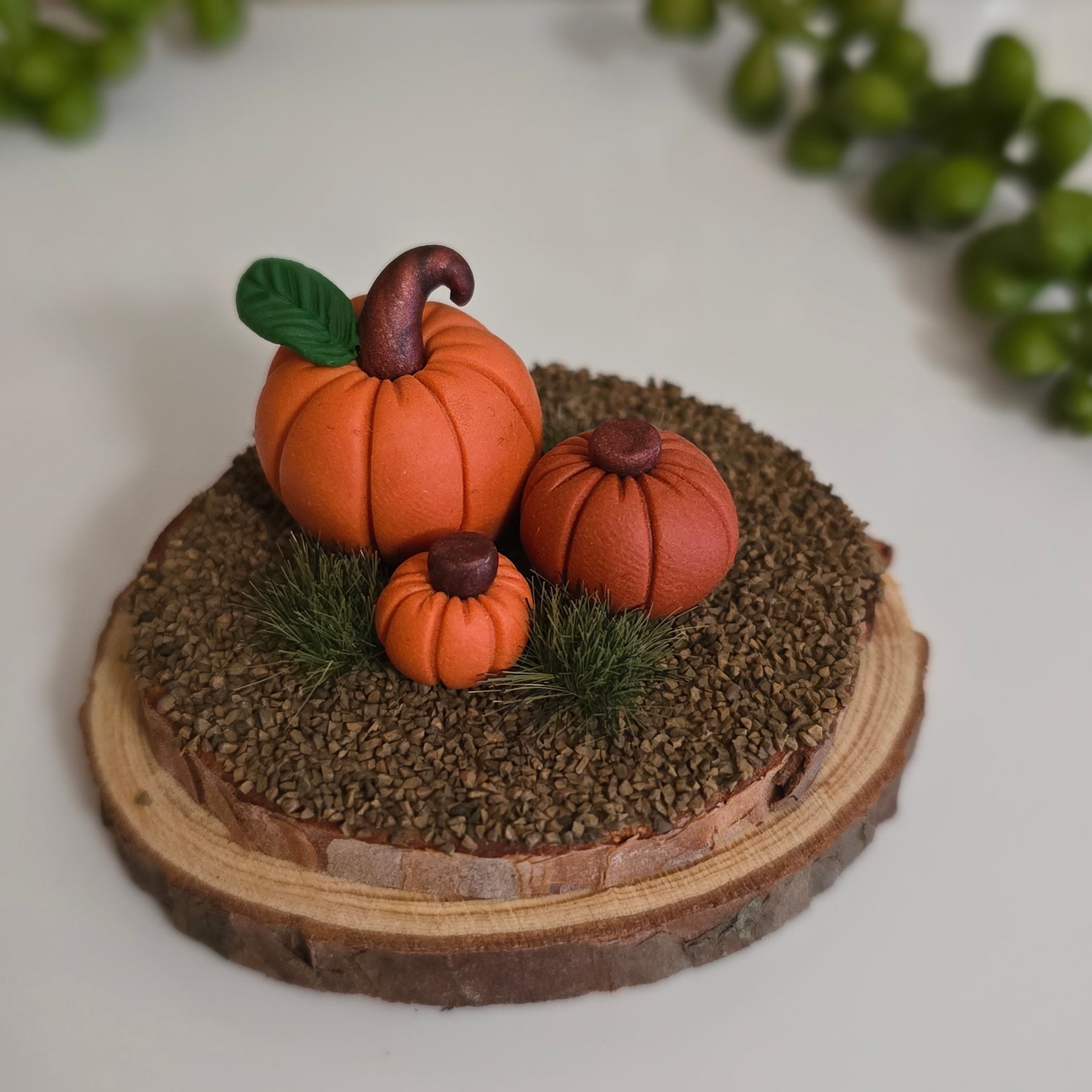 Pumpkin Patch 🎃