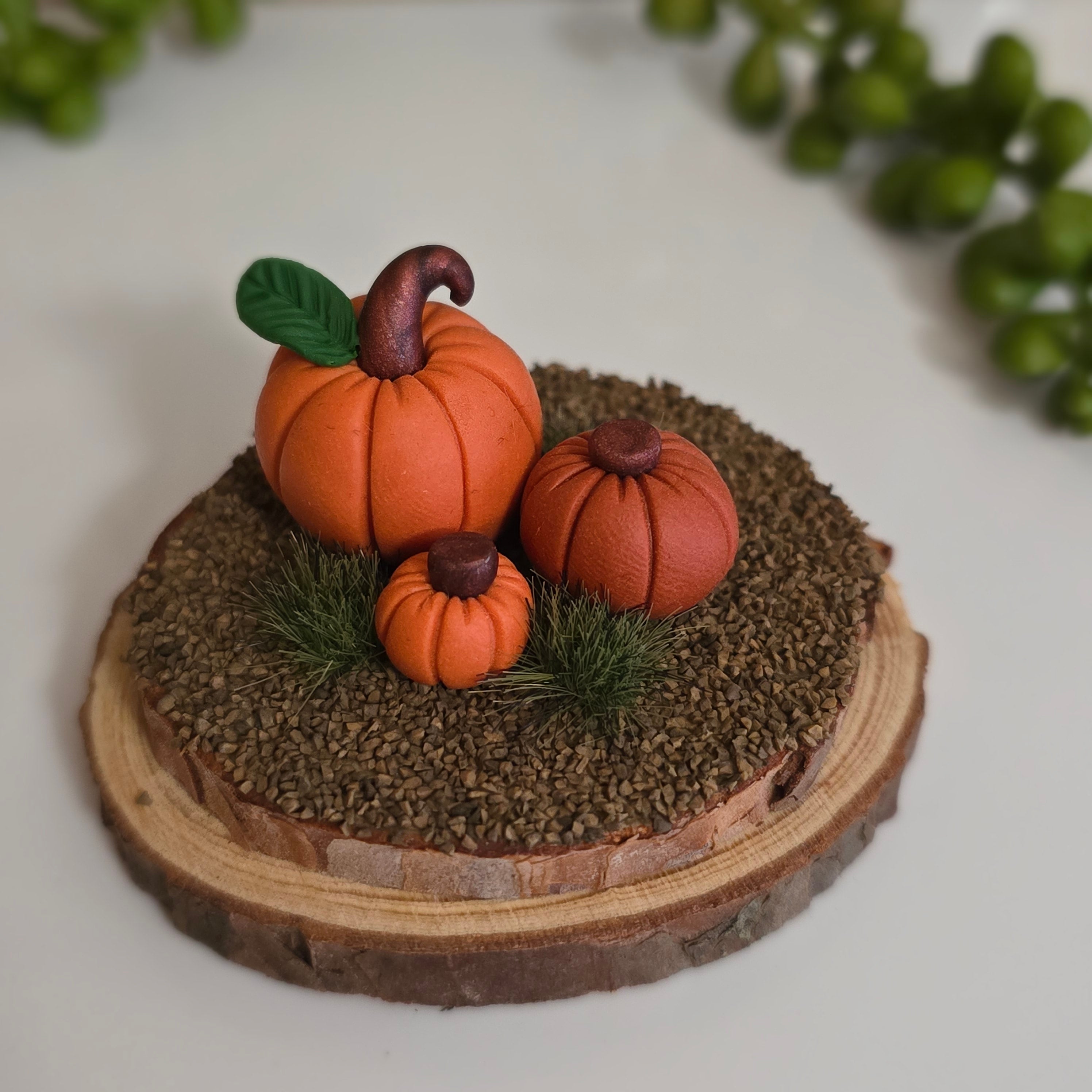 Pumpkin Patch 🎃