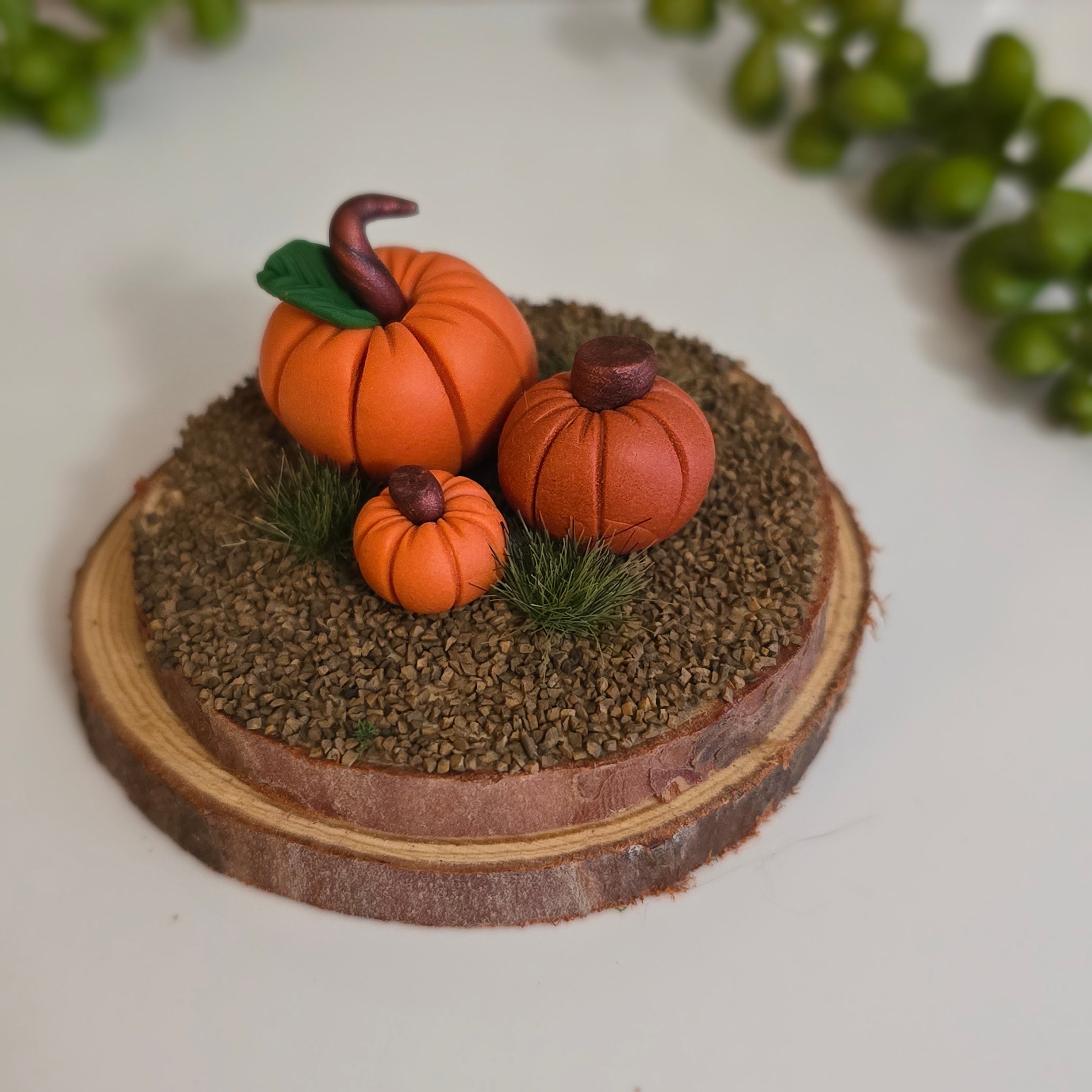 Pumpkin Patch 🎃