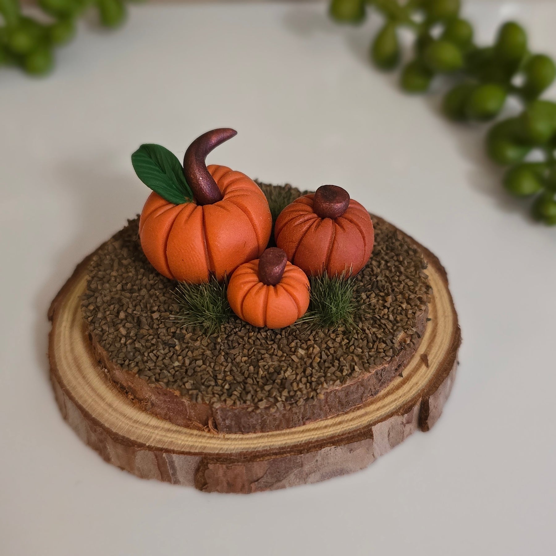 Pumpkin Patch 🎃