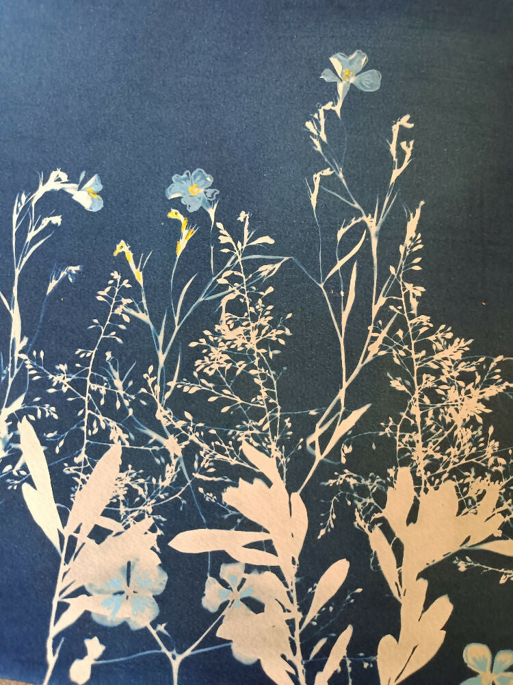 Plant Profusion- original cyanotype