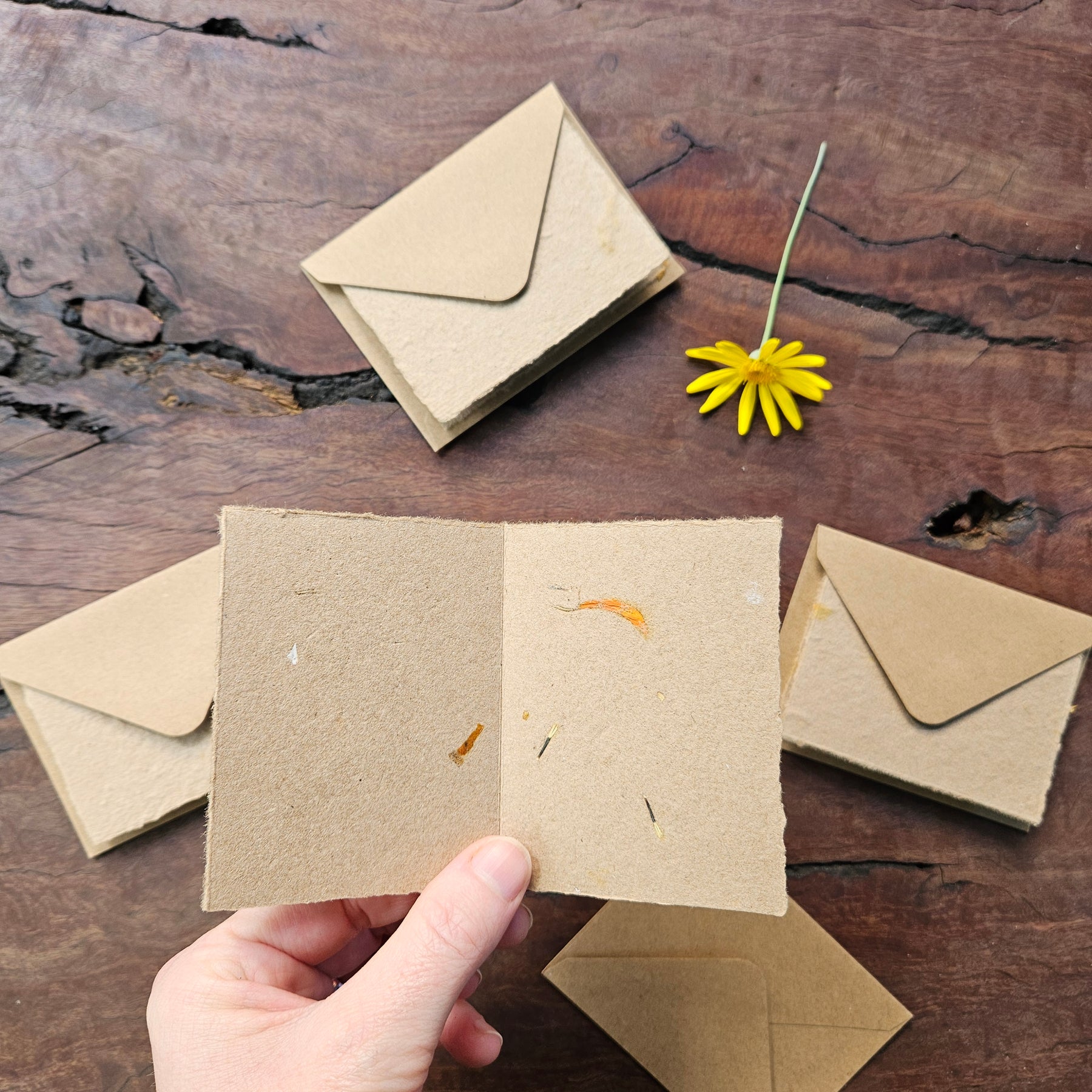 Seeded Plantable handmade paper gift cards- set of 4