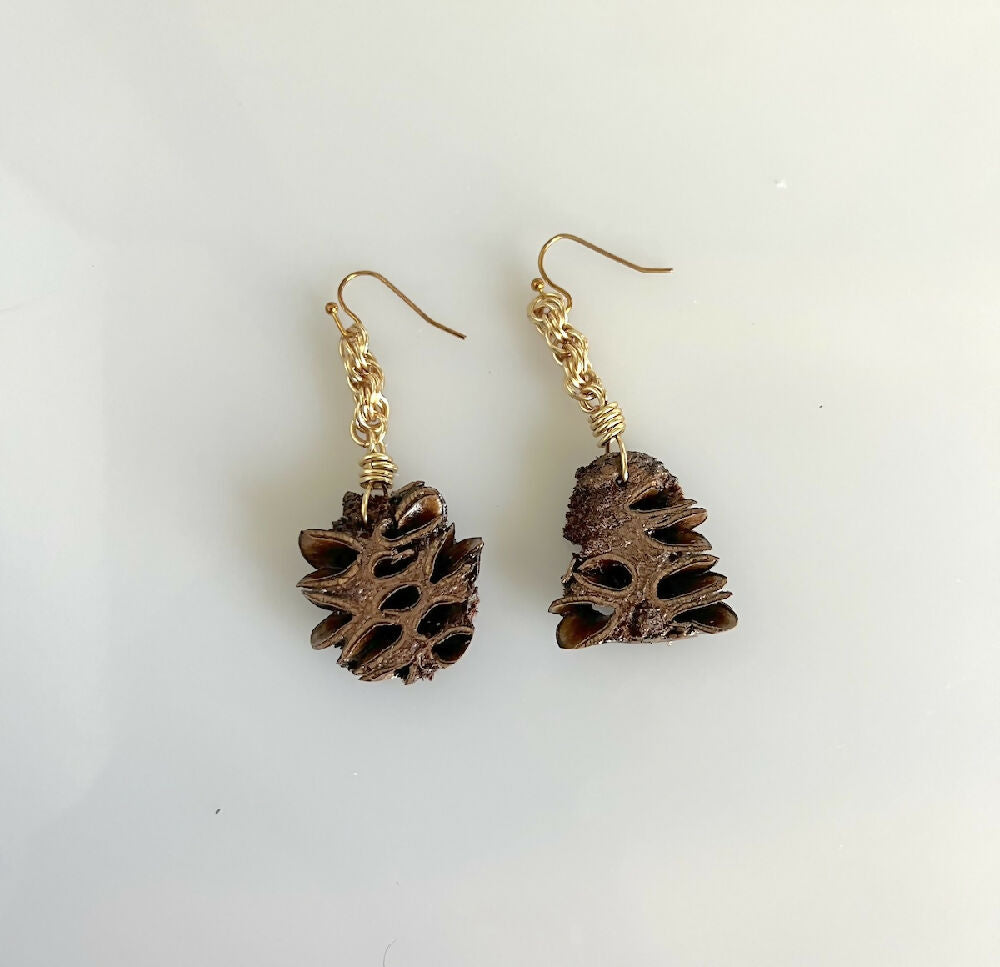 Silver plated banksia earrings small front