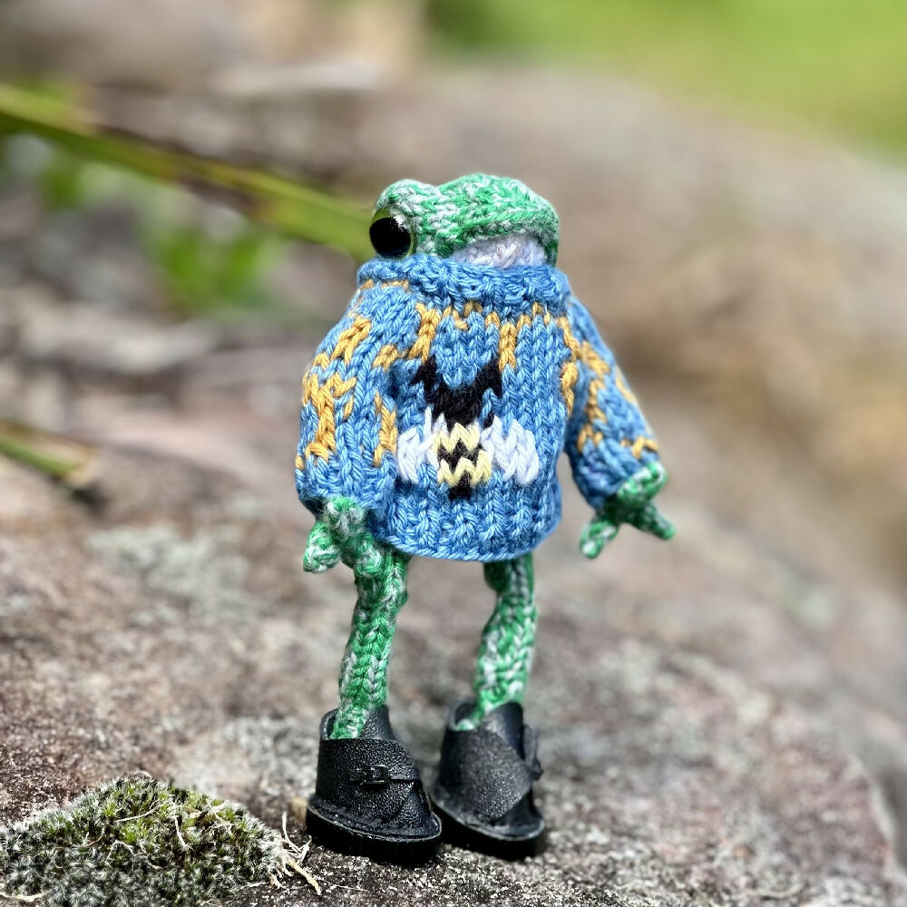 Little Knitted Frog in Sweater or Dress
