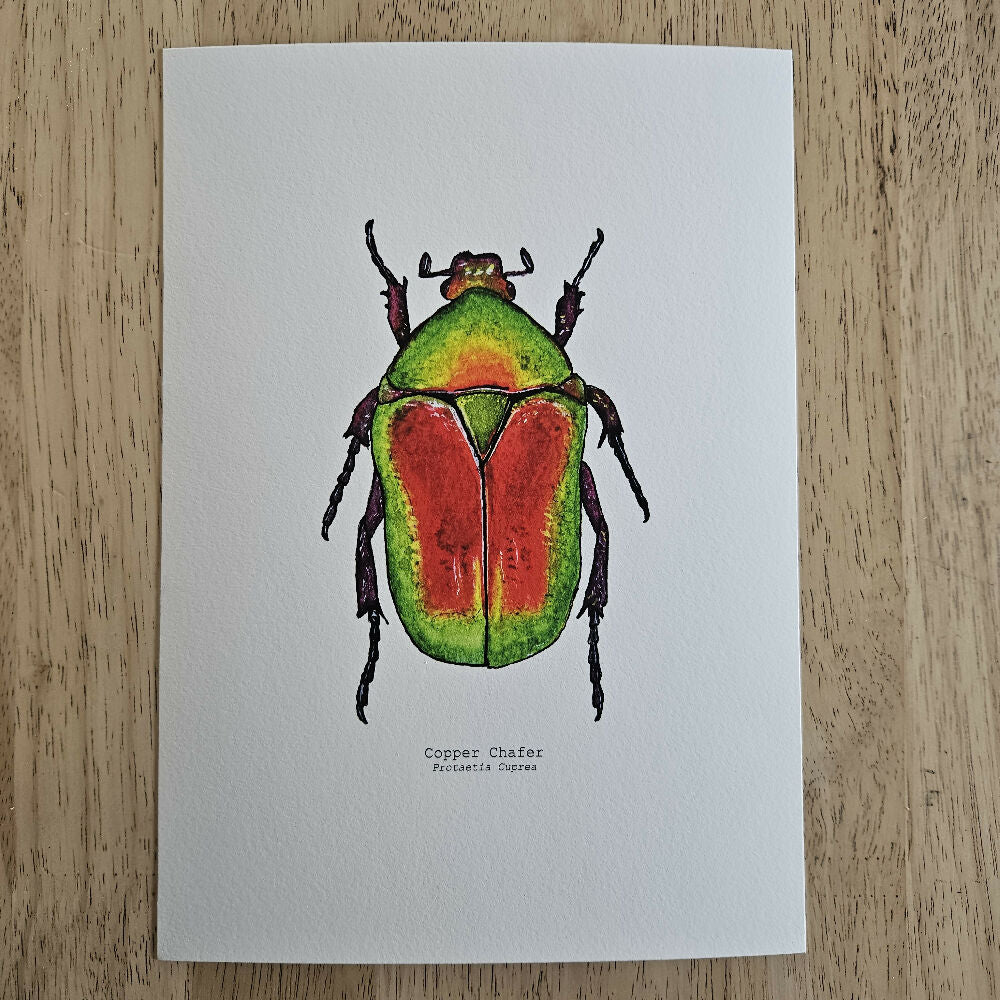 art print - the fauna series - copper chafer