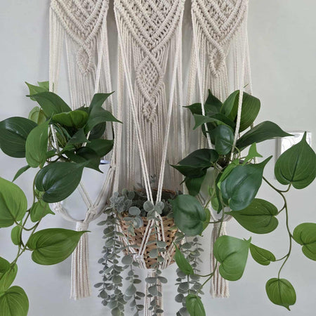 Macrame Wall Plant Hanger