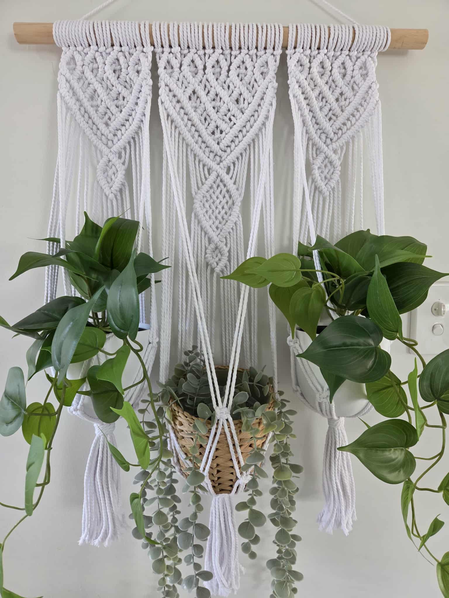 Macrame Wall Plant Hanger