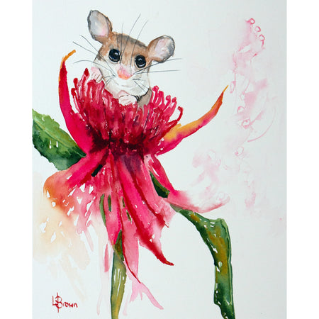 Pygmy Possum A3 Fine Art Print