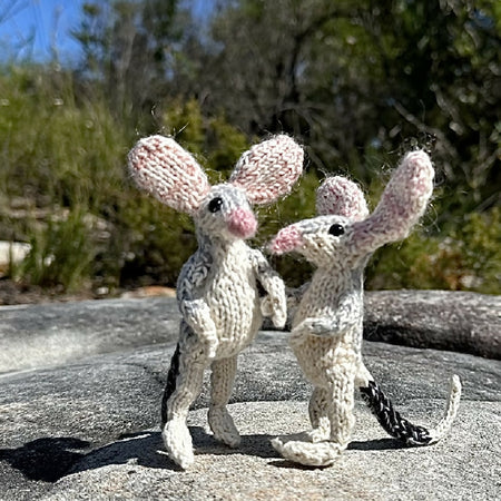 Little Knitted Bilby (stands unassisted)