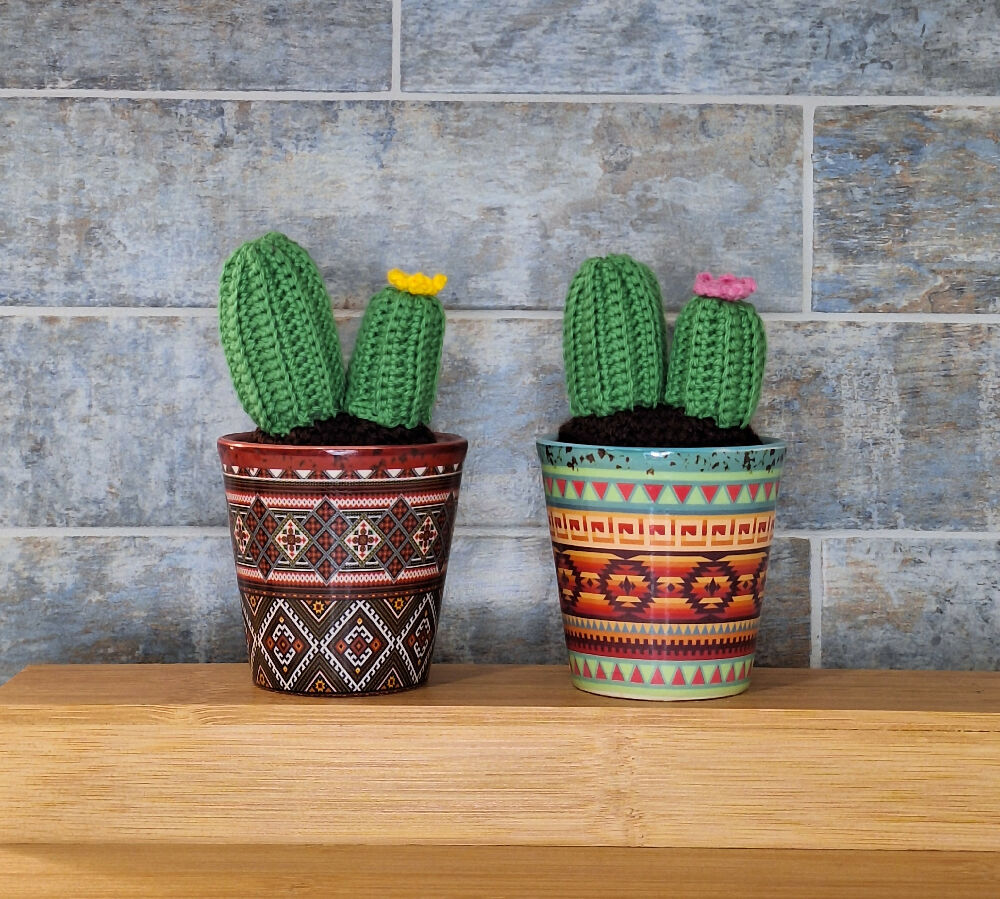 cactus in decorative pots
