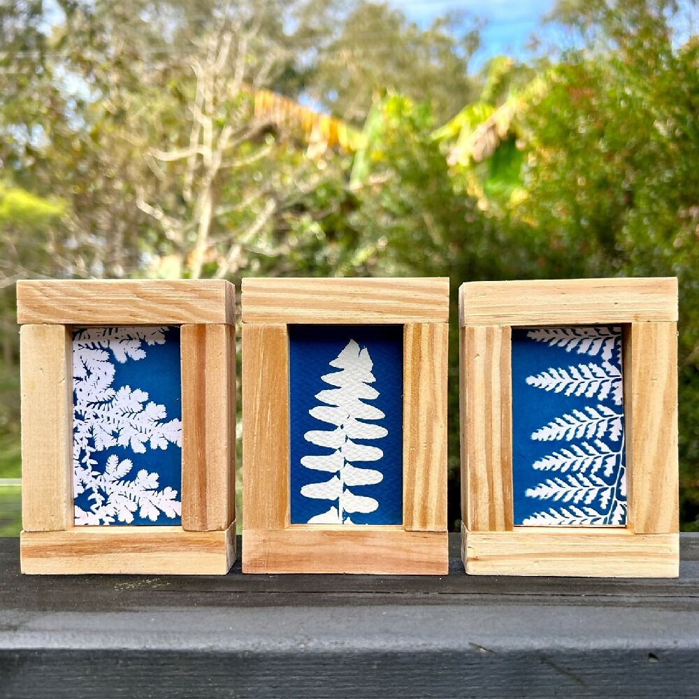 Botanical Art, set of three original cyanotype artworks in handmade frames, ferns