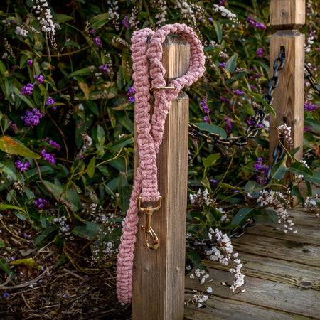 Macrame Pet Leads / Leashes