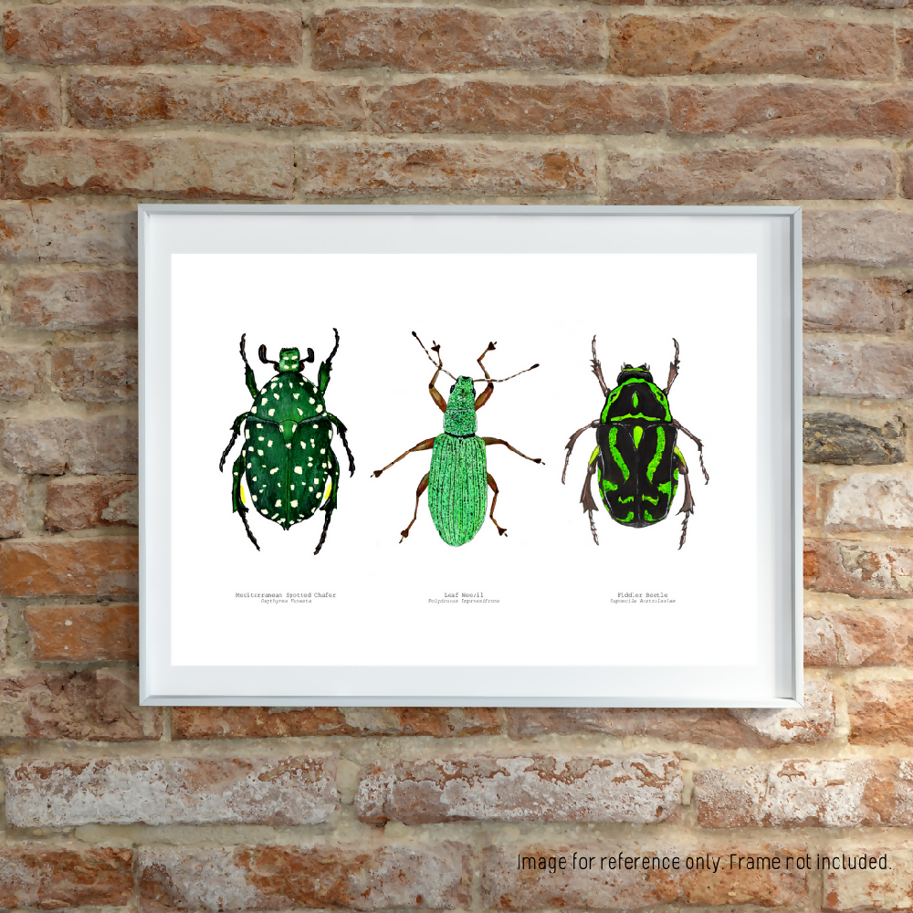 the fauna series - green bug trio