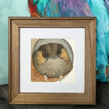 Original watercolour art - owlet nightjar