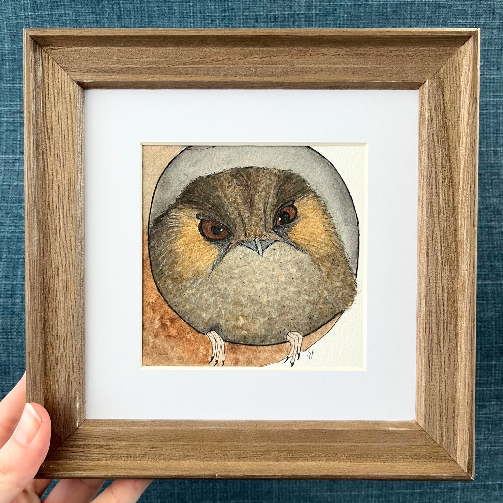 Original watercolour art - owlet nightjar