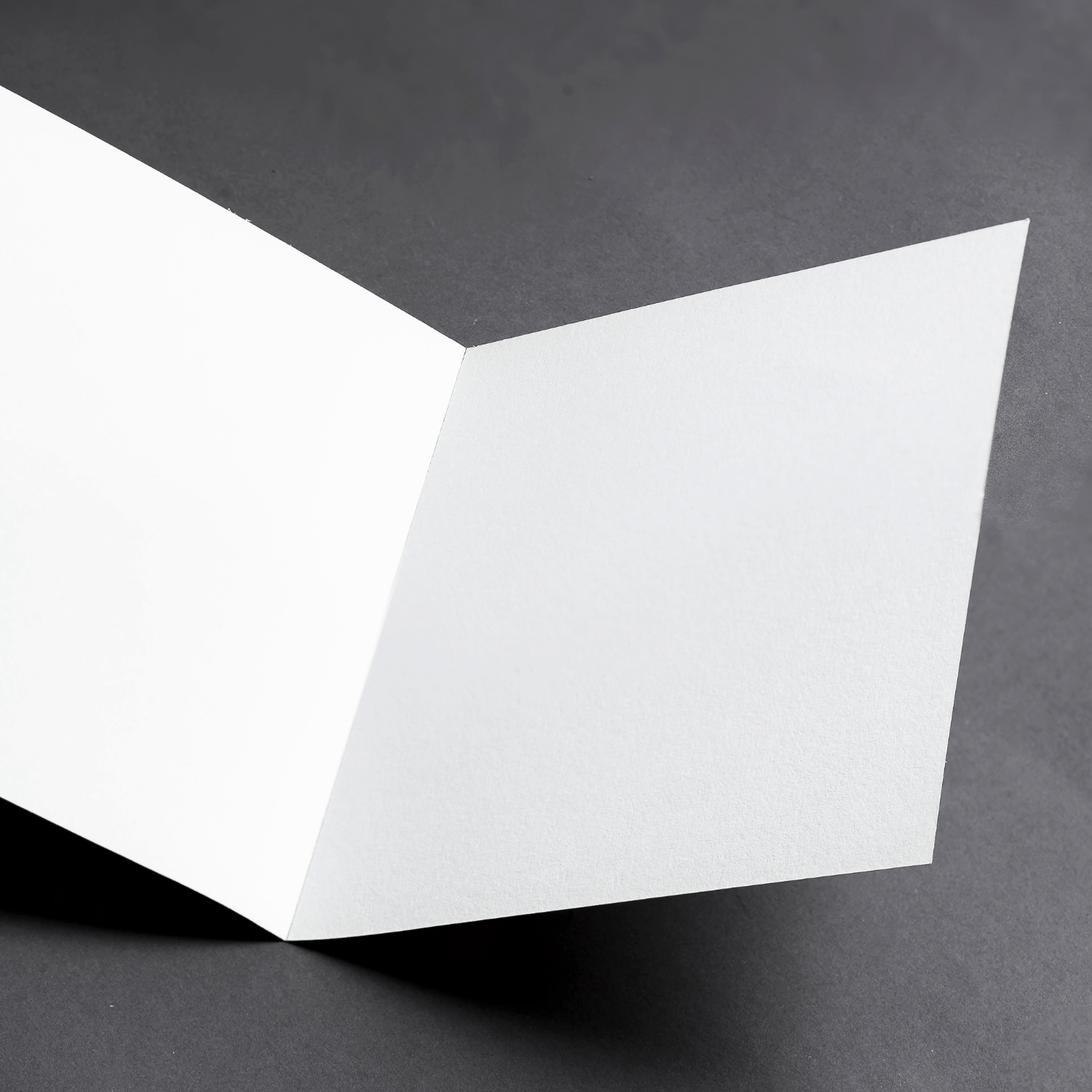 Whimsical Kitty Cat Art Greeting Card - Cleo