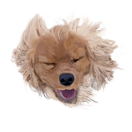Dog Portrait digital download, you can personalise and print any size $30