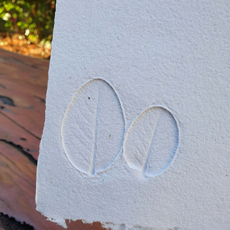 Sage Leaf imprinted Handmade Paper sheets / Botanical Stationery/ A6