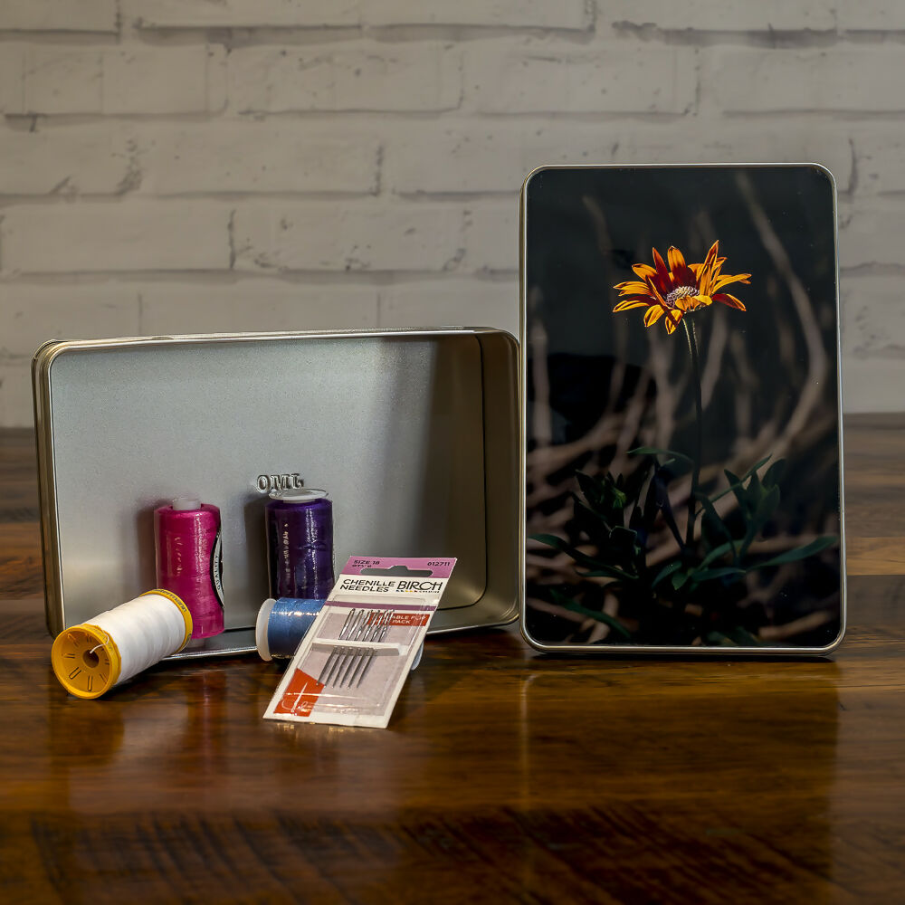 DSC_5147-Enhanced-NR