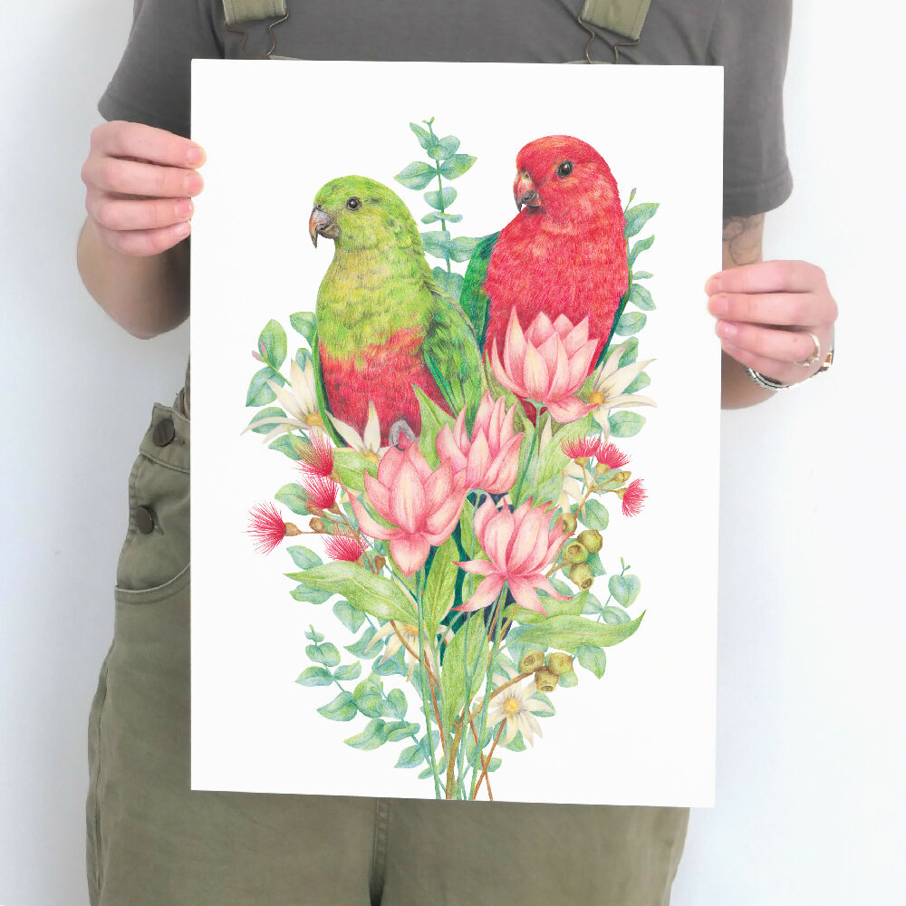 A3 art print of Australian King Parrots and native Australian flowers, by Australian artist Kayla Reay.