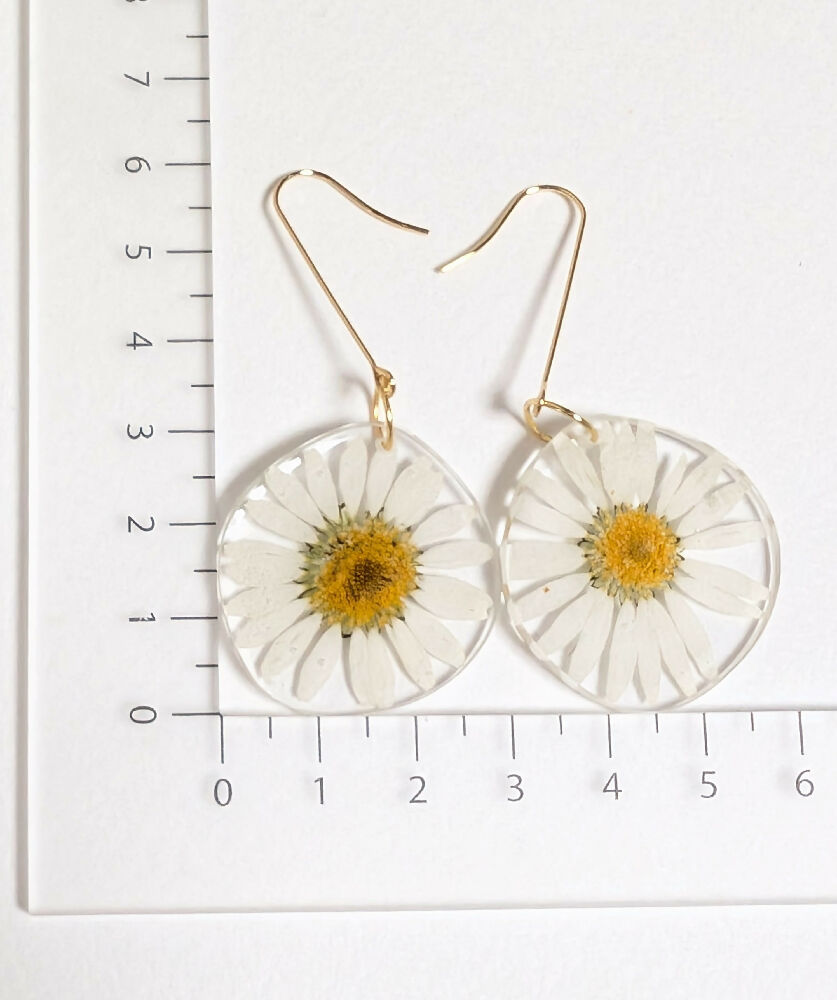 PXL_20250329_020505429