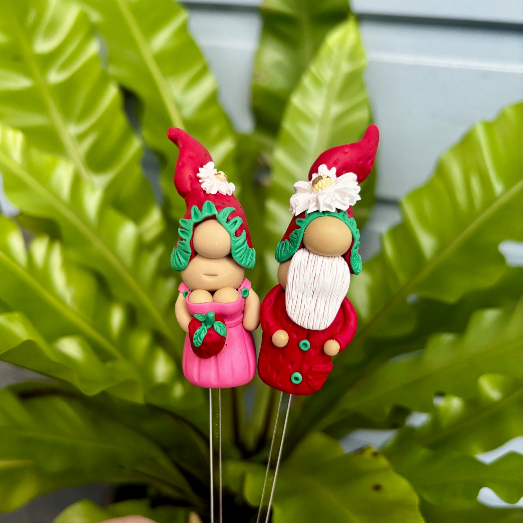 Tiny Gnome pair - Strawberry Fields