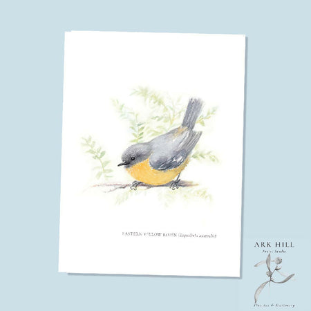 Eastern Yellow Robin - Australian Tiny Birds Series