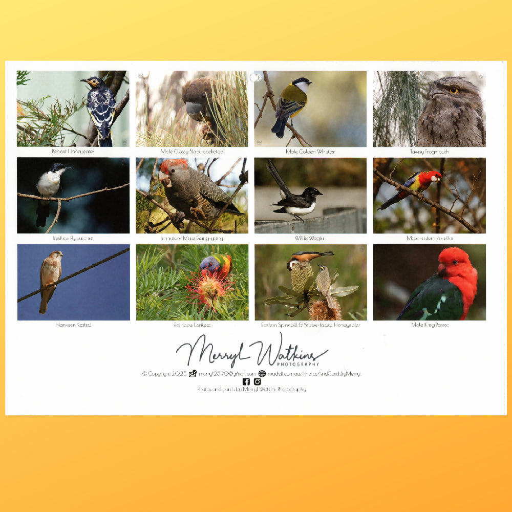 2025 Calendar - A Year of Birds - A4 Photographic Calendar