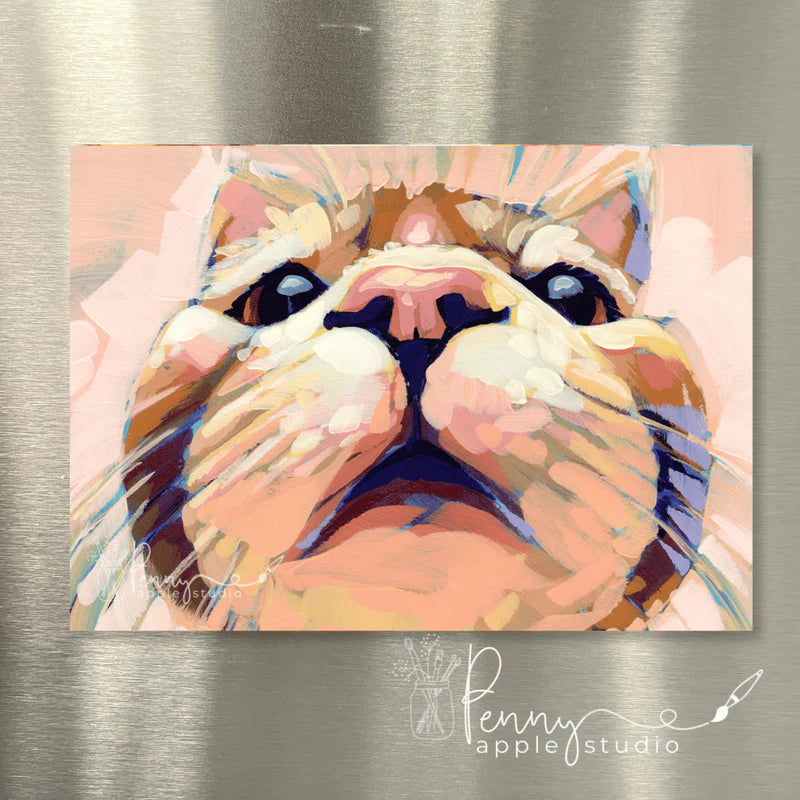 (1) Kitty Cat Fridge Magnet – Choose your favourite!