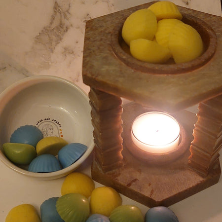 Scented Soy Wax Melts | Seashells