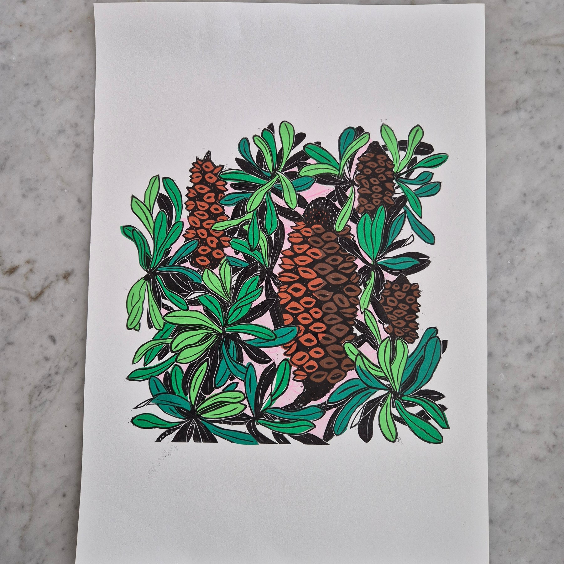 Banksia linocut original artwork chine colle Pink Sky