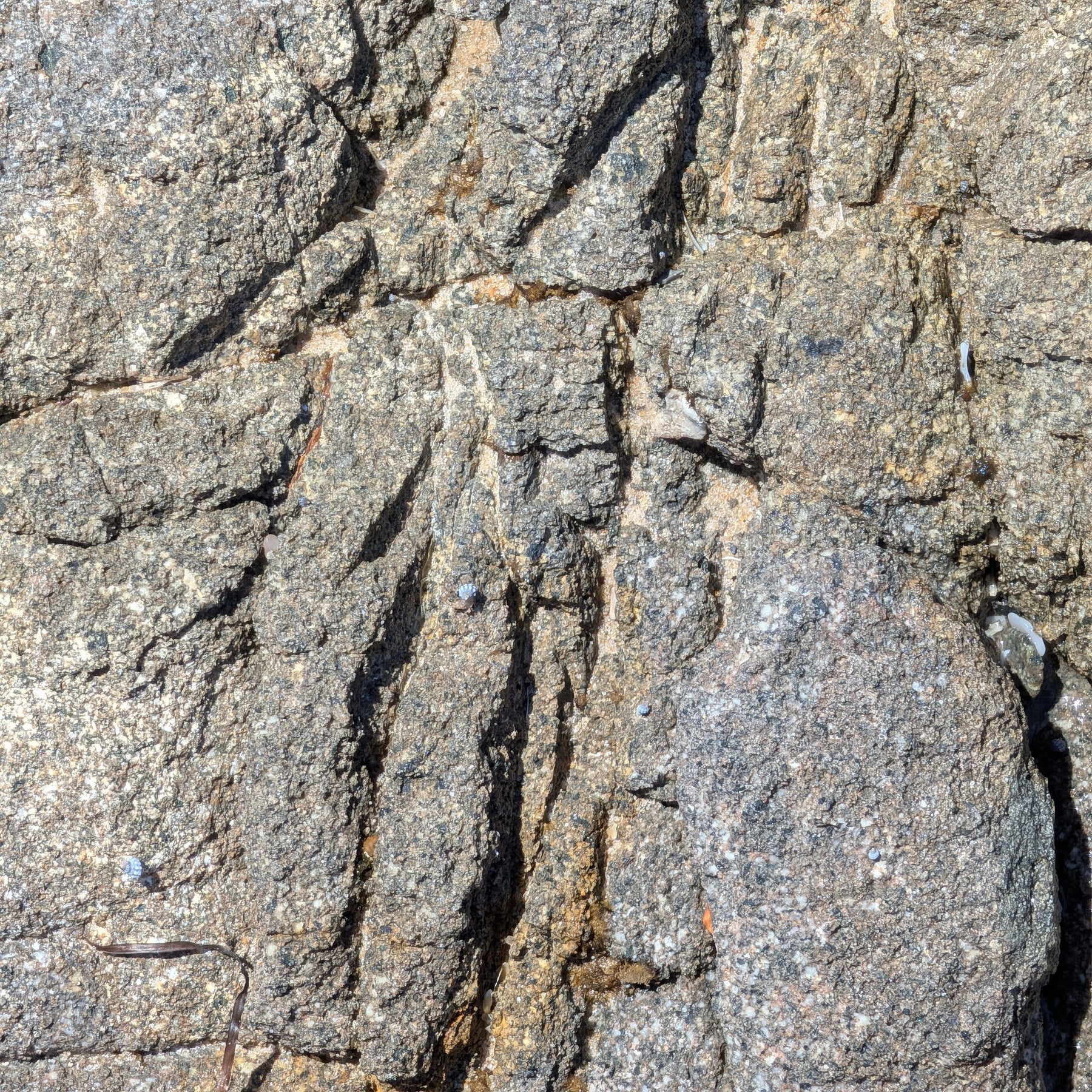 Ceramic Bowl | earthy • functional • everyday