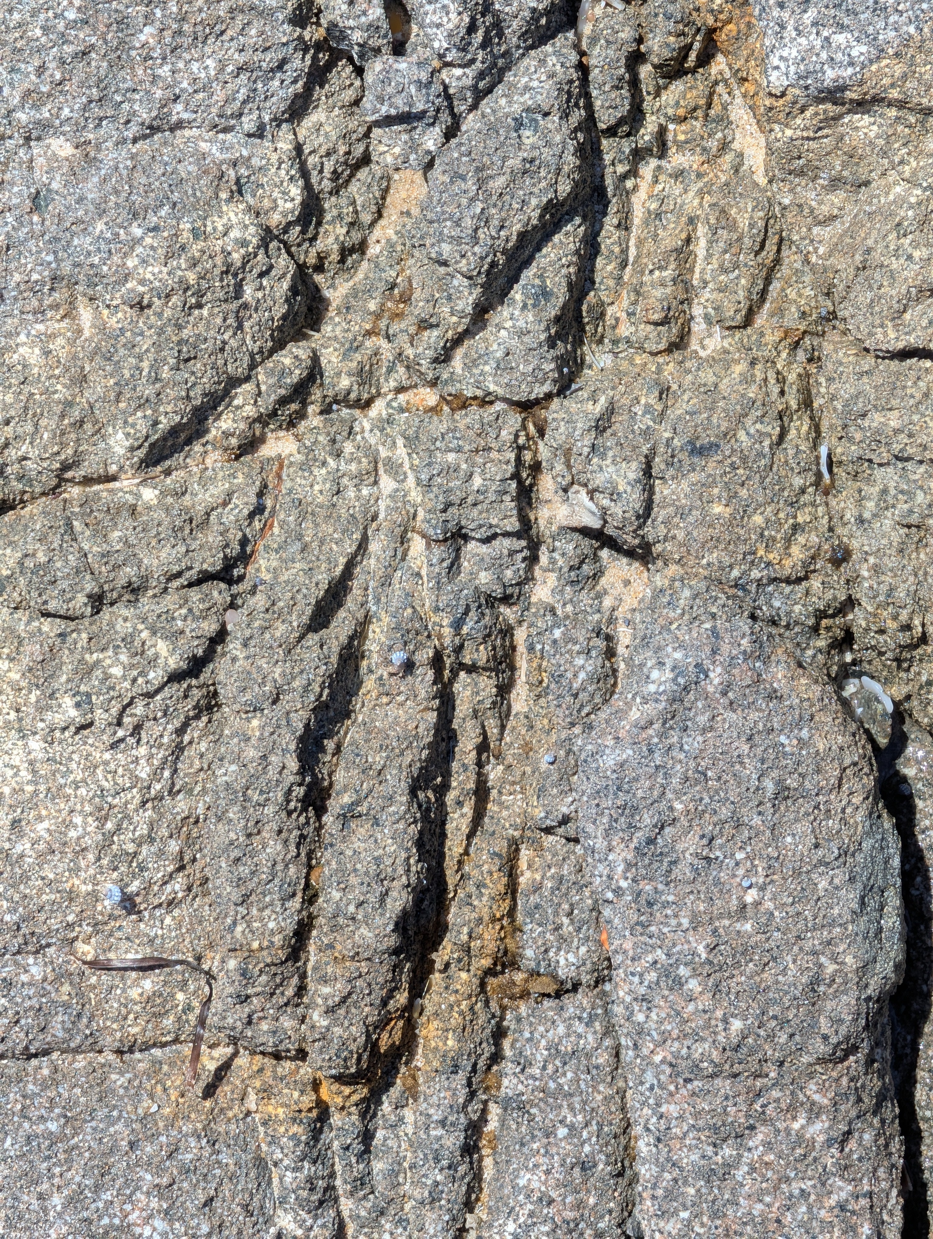 Ceramic Bowl | earthy • functional • everyday