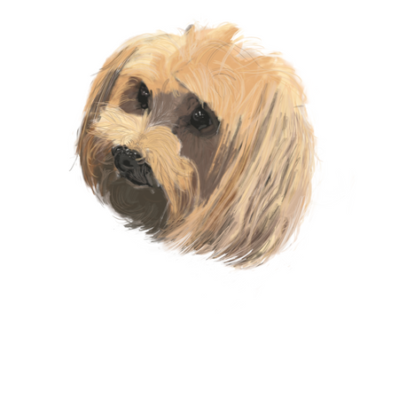 Dog Portrait digital download, you can personalise and print any size $30