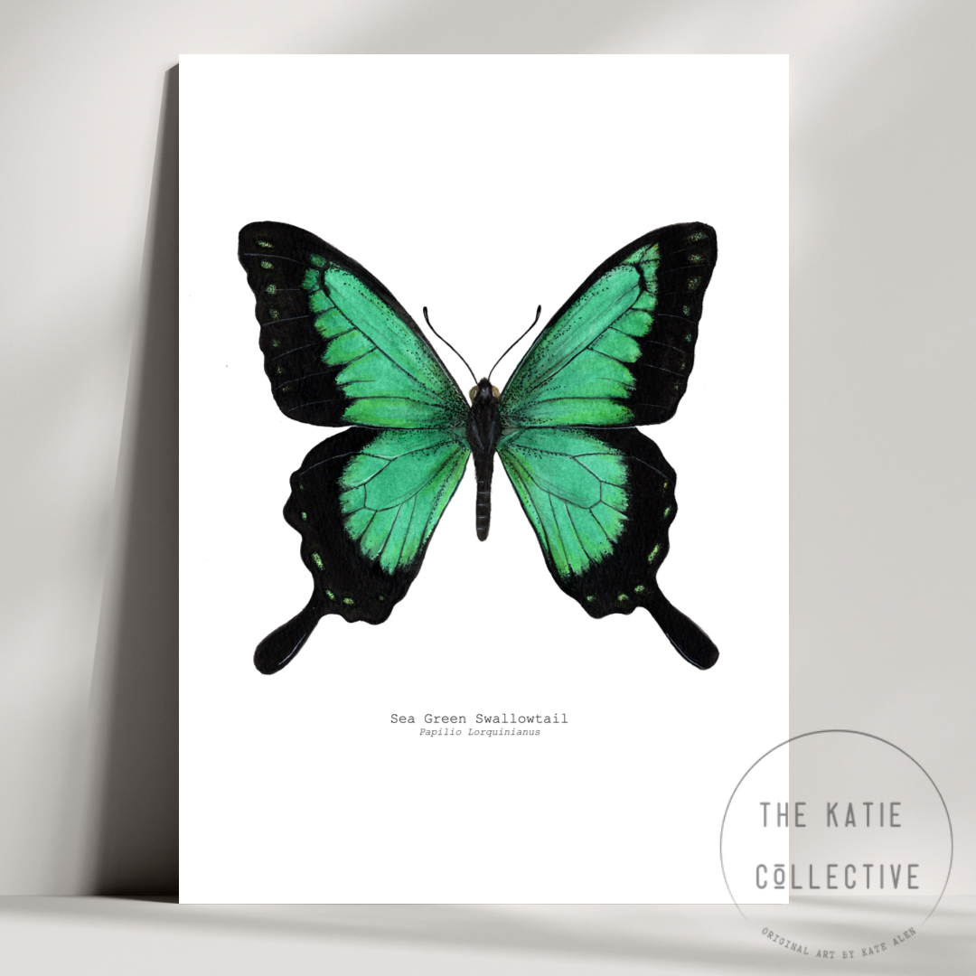 Watercolour Art Print - The Insect Series - 'Sea Green Swallowtail Butterfly'