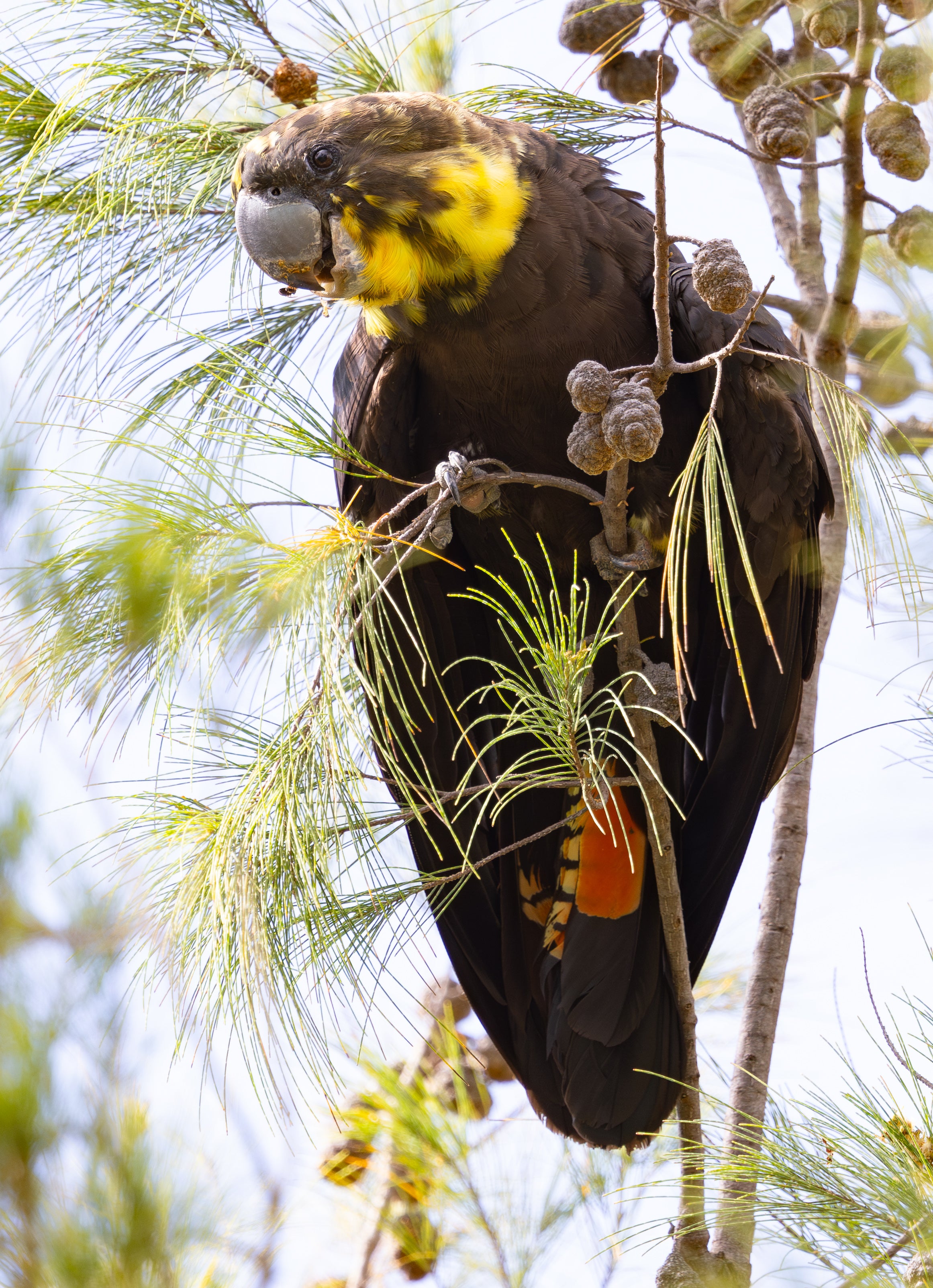 Photographic print | Wall Art | Pretty girl