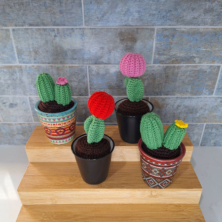 crocheted succulents room decoration