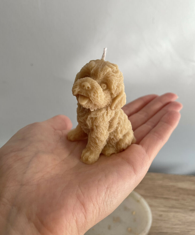 Cavoodle Pillar Candle